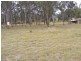 Nanango QLD 4615