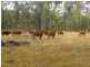Nanango QLD 4615