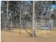 Nanango QLD 4615