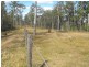 Nanango QLD 4615