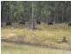 Nanango QLD 4615