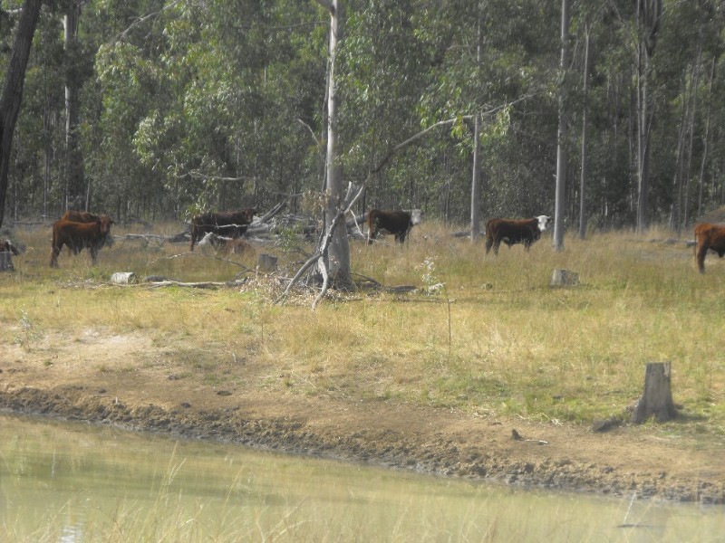 Nanango QLD 4615
