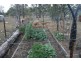 Ellesmere QLD 4610