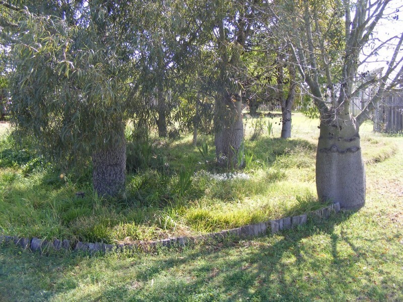 Nanango QLD 4615