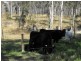 Nanango QLD 4615