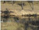 Nanango QLD 4615