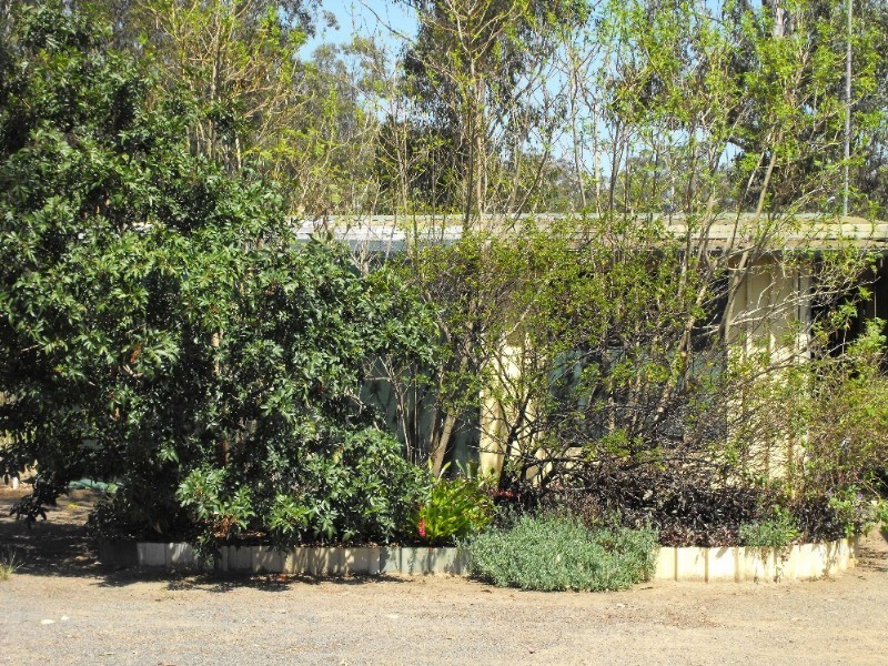 Nanango QLD 4615