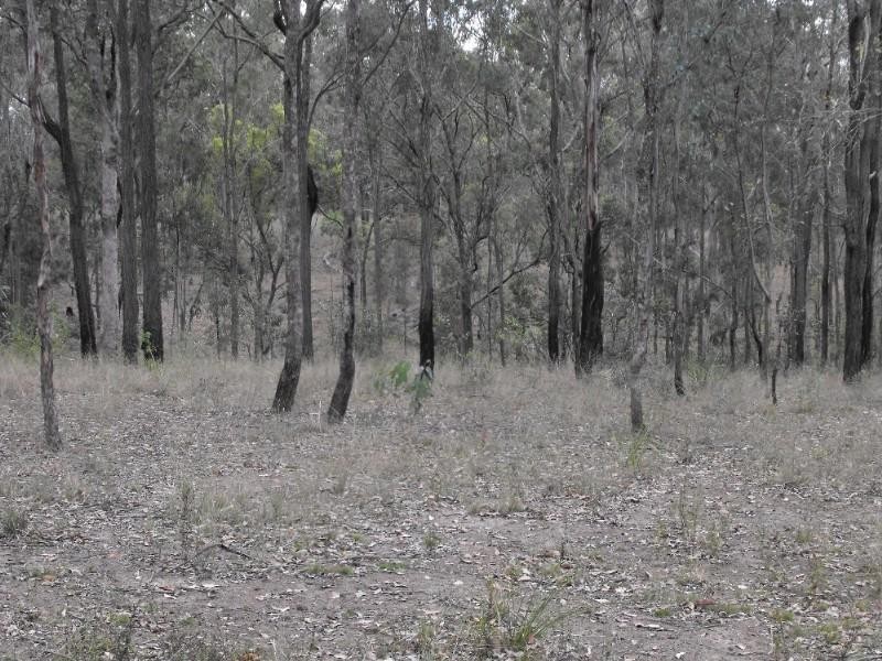 Nanango QLD 4615