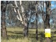 Cooyar QLD 4402