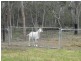 Nanango QLD 4615