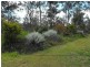Nanango QLD 4615