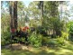 Blackbutt QLD 4306