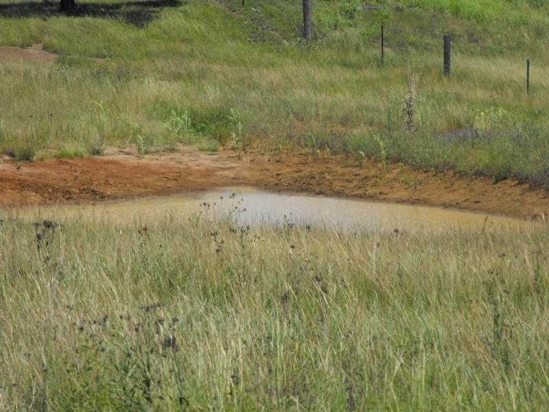 Runnymede QLD 4615