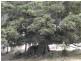 Nanango QLD 4615