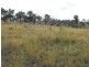 Nanango QLD 4615