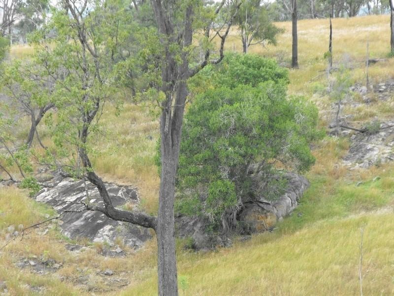 Nanango QLD 4615
