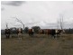 Nanango QLD 4615