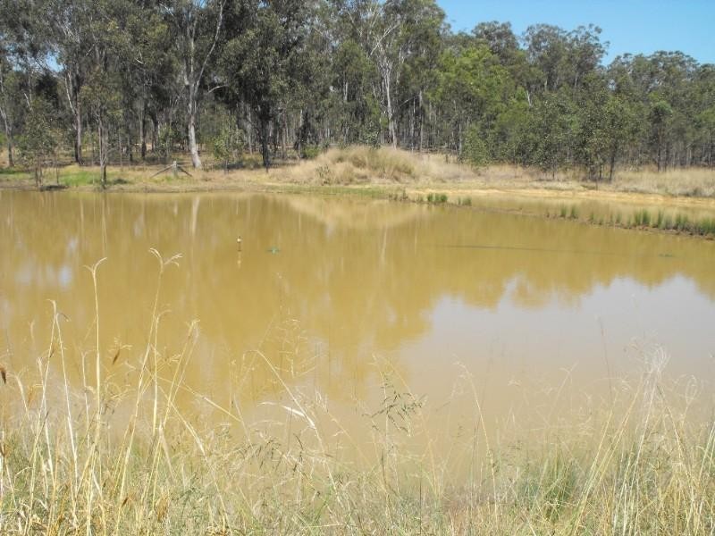 Wattle Camp QLD 4615