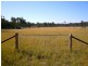 Wattle Camp QLD 4615