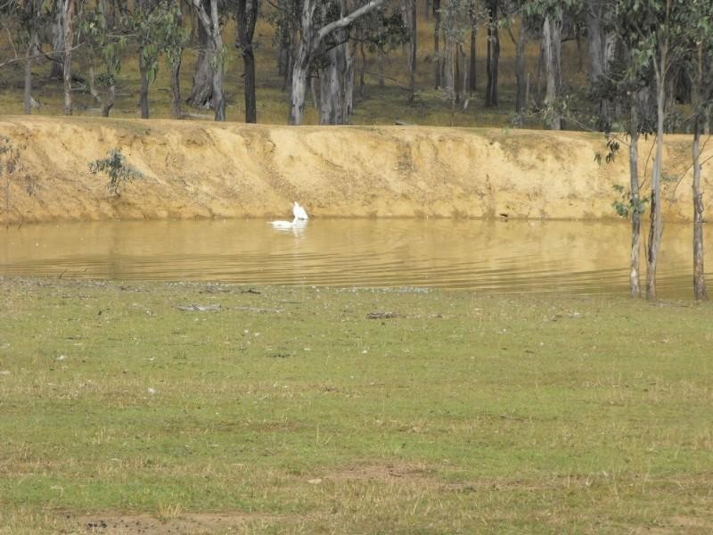 Nanango QLD 4615