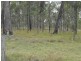 Nanango QLD 4615