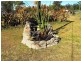 Nanango QLD 4615