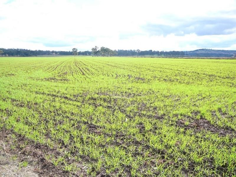 183 Mcnamara Road, Nanango QLD 4615