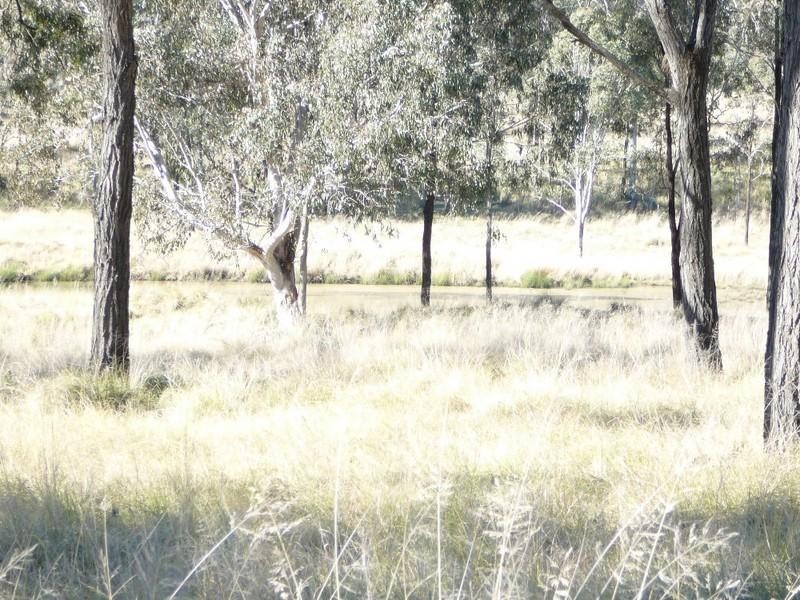 0 Mcnamara Road, Nanango QLD 4615