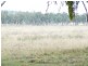 0 Mcnamara Road, Nanango QLD 4615