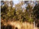 Nanango QLD 4615