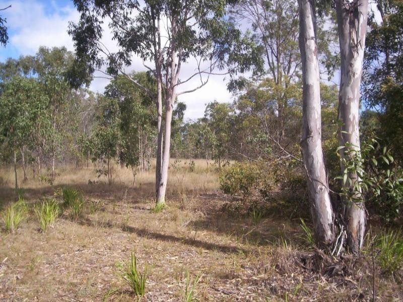 Wattle Camp QLD 4615