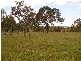 Cooyar QLD 4402