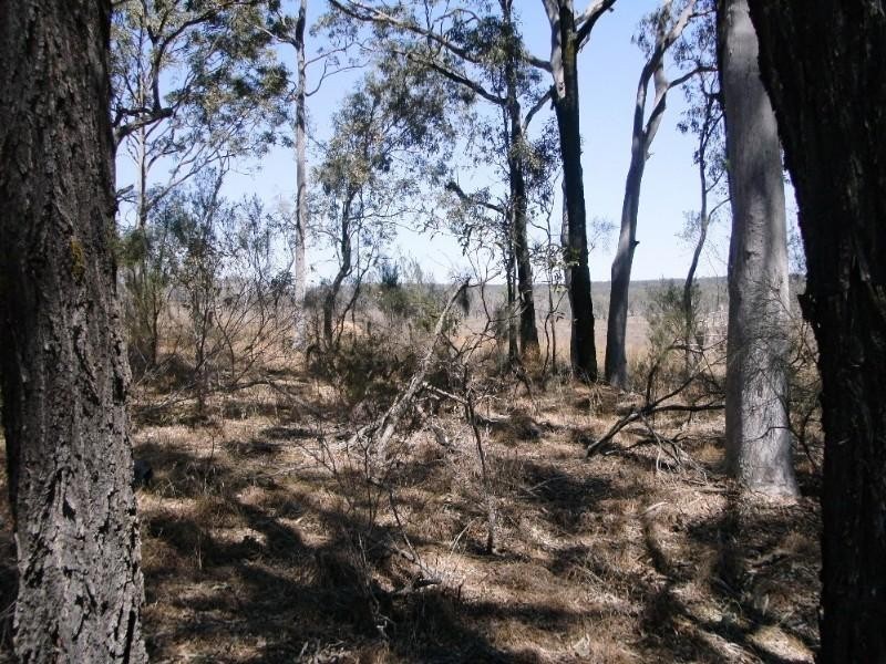 Wattle Camp QLD 4615