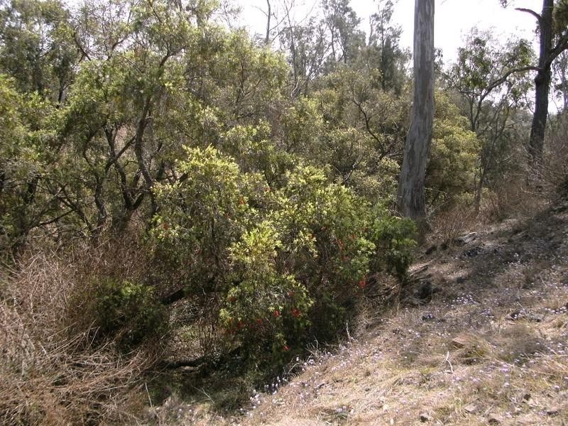 Cooyar QLD 4402