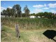46 King Street, Nanango QLD 4615