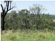 Ellesmere QLD 4610