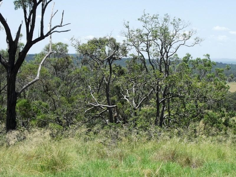 Ellesmere QLD 4610