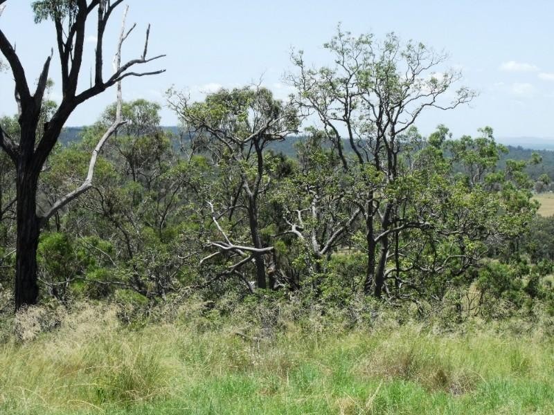 Ellesmere QLD 4610
