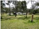 Nanango QLD 4615