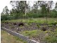 Nanango QLD 4615