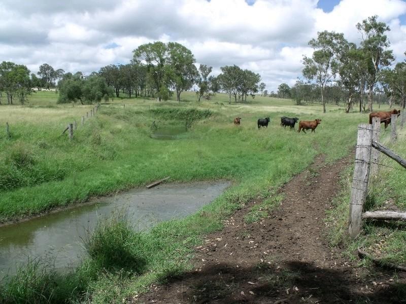 Maidenwell QLD 4615