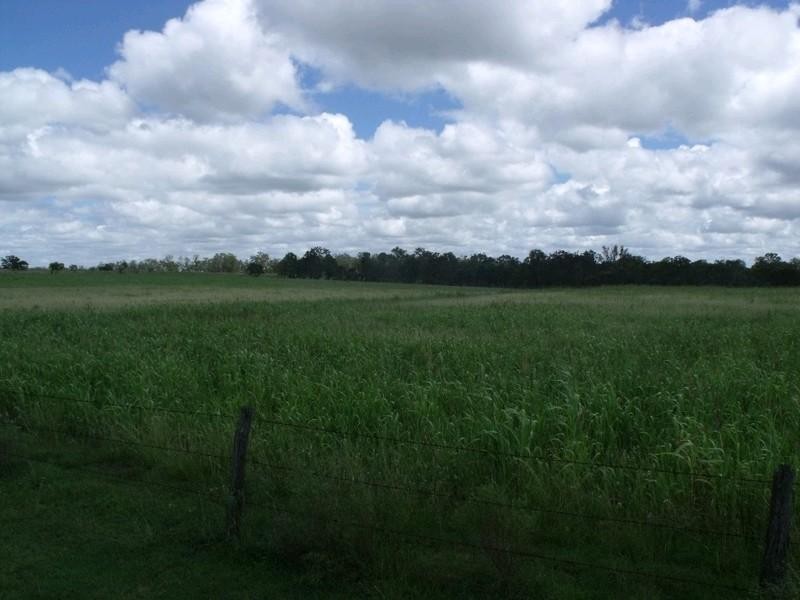 Maidenwell QLD 4615