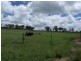Maidenwell QLD 4615