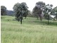 Taromeo QLD 4306