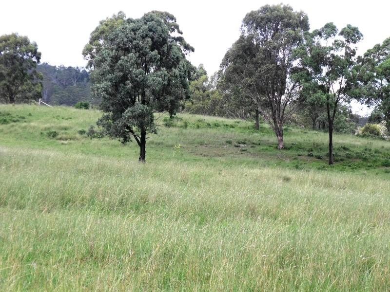 Taromeo QLD 4306