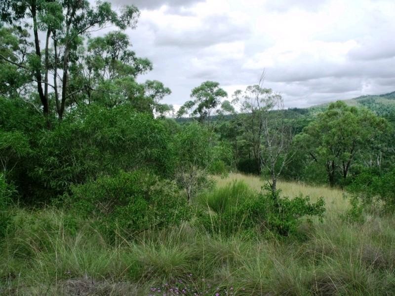 Bunya Mountains QLD 4405