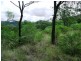 Bunya Mountains QLD 4405