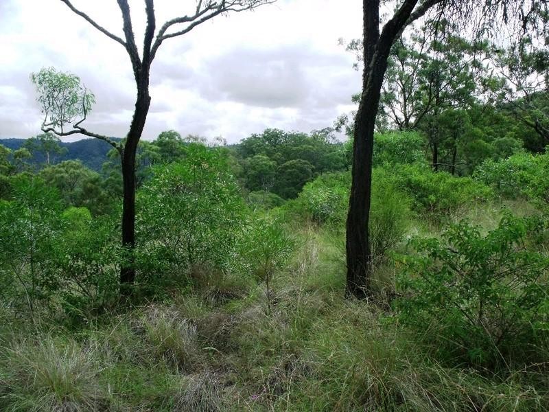 Bunya Mountains QLD 4405