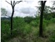 Bunya Mountains QLD 4405