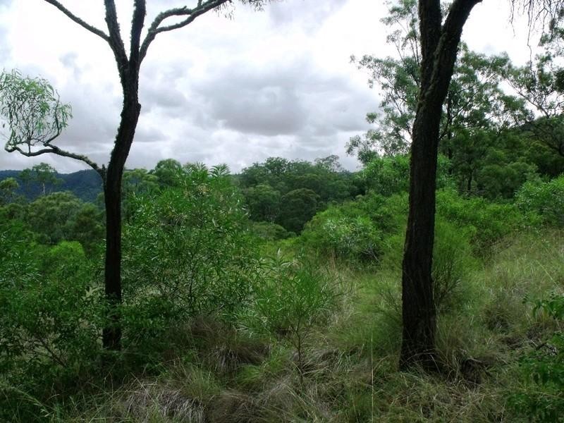 Bunya Mountains QLD 4405